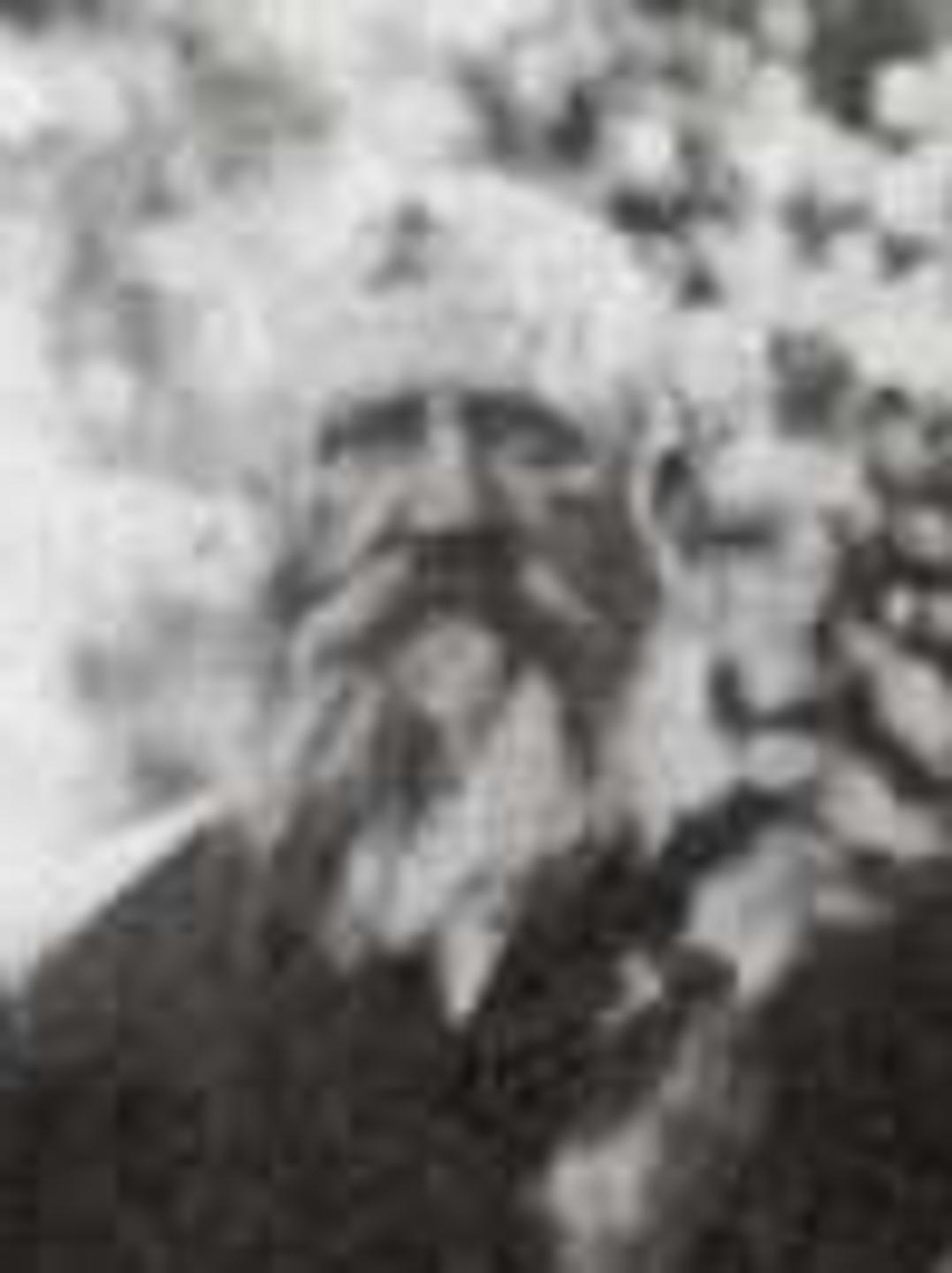 William Pears Smith (1834 - 1906) Profile